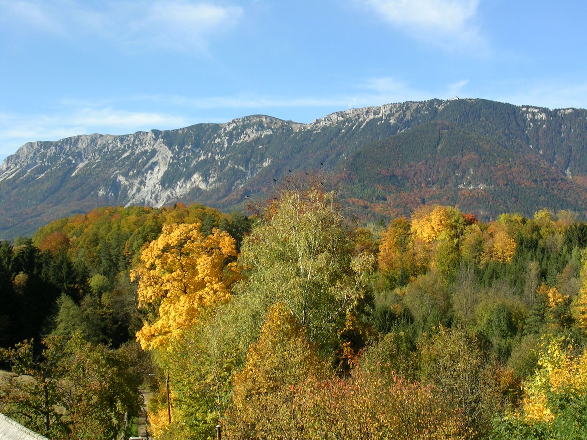 Herbstliche Landschaft mit bunten Bäumen und Berg im Hintergrund.