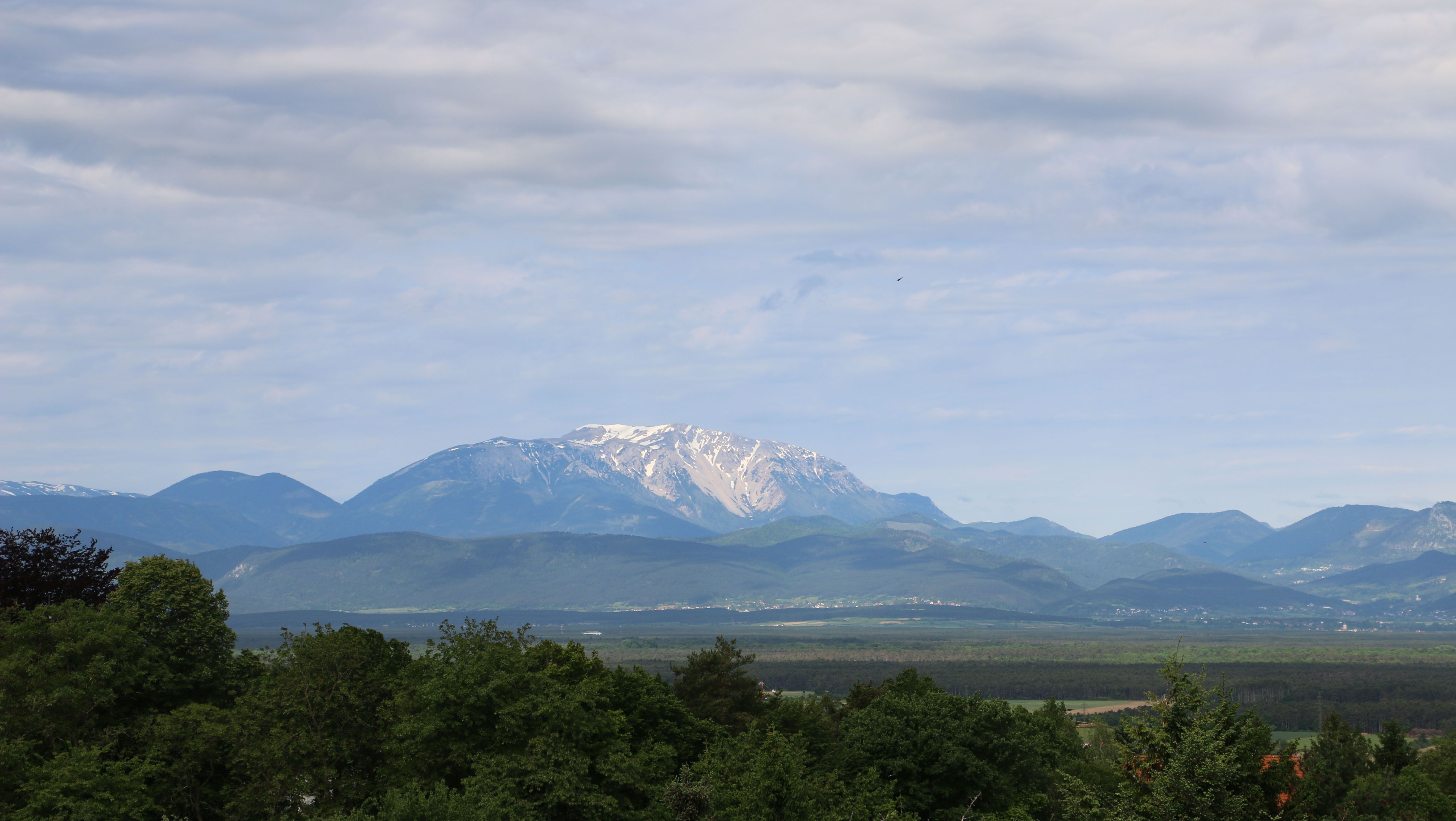 Ausblick auf eine Landschaft mit bewaldeten Hügeln und einem schneebedeckten Berg  im Hintergrund.