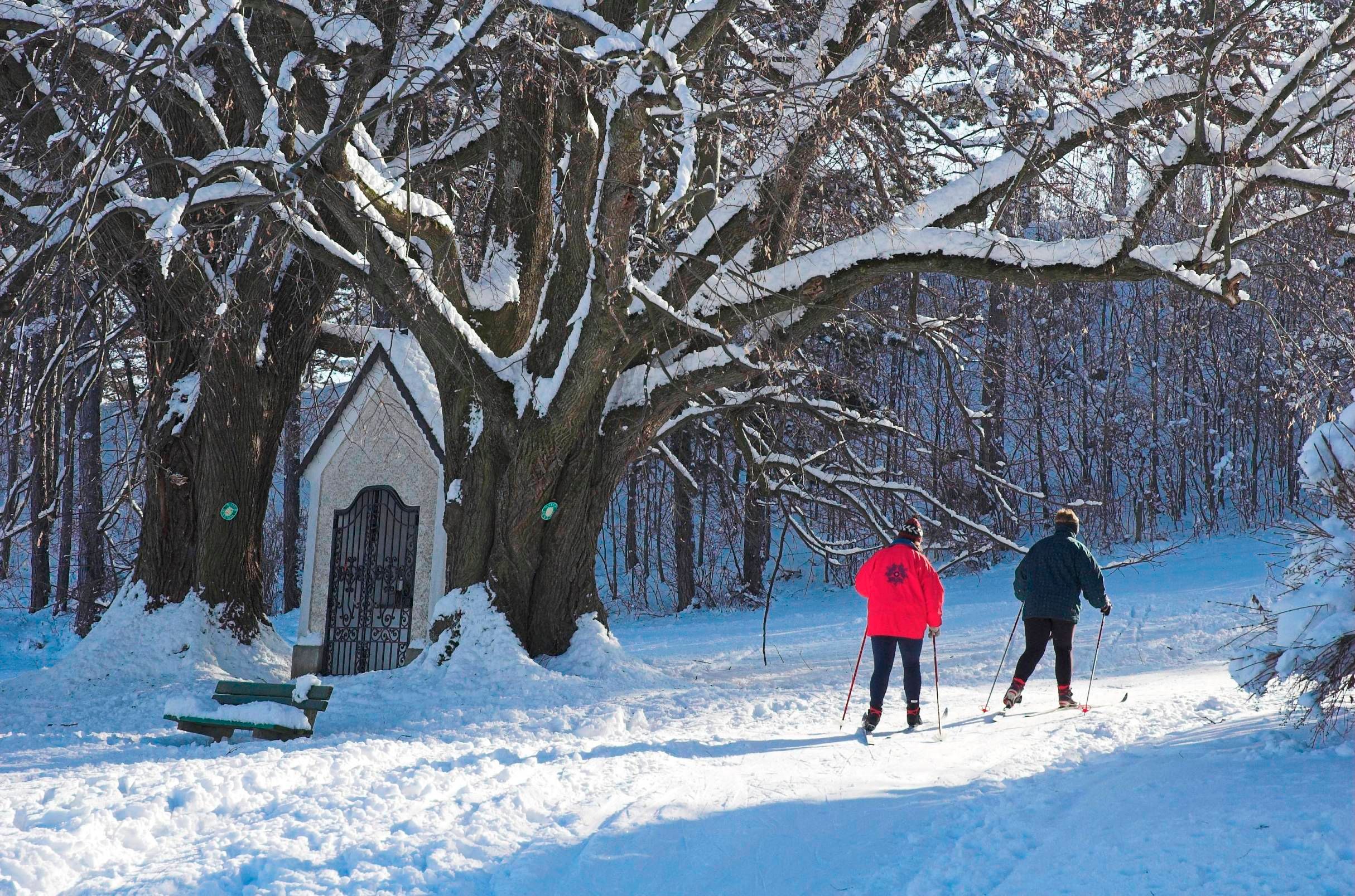 Zwei Skilangläufer auf einer verschneiten Loipe neben einer Kapelle und großen Bäumen.
