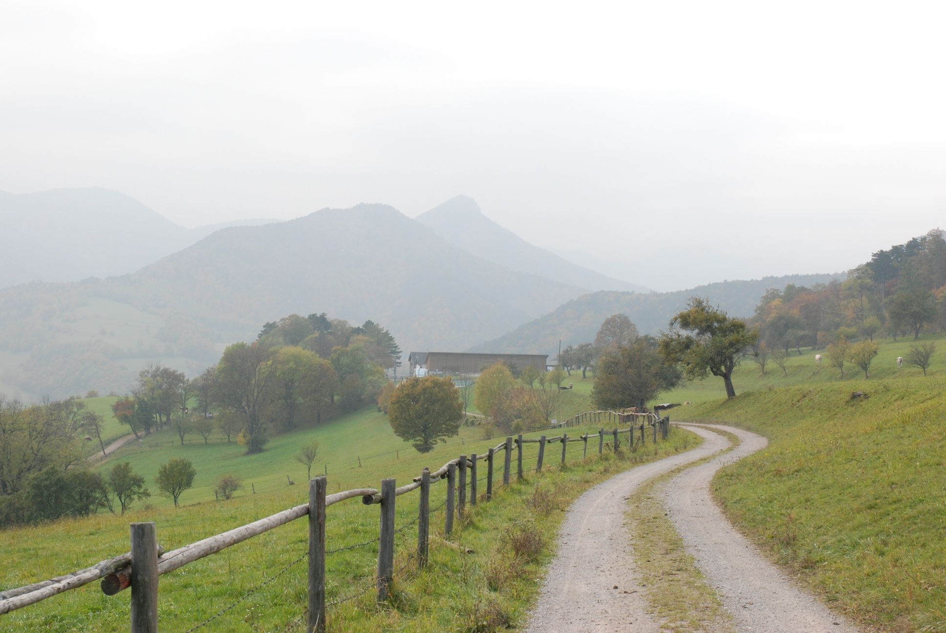 am Weg nach Rehgras