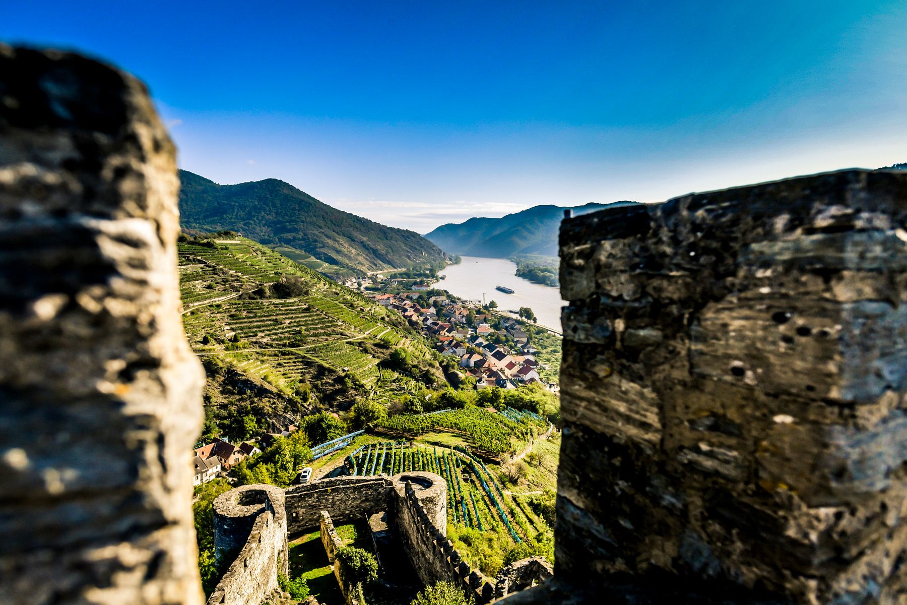 Blick von einer Burgruine auf eine Flusslandschaft mit Weinbergen und einem Dorf.