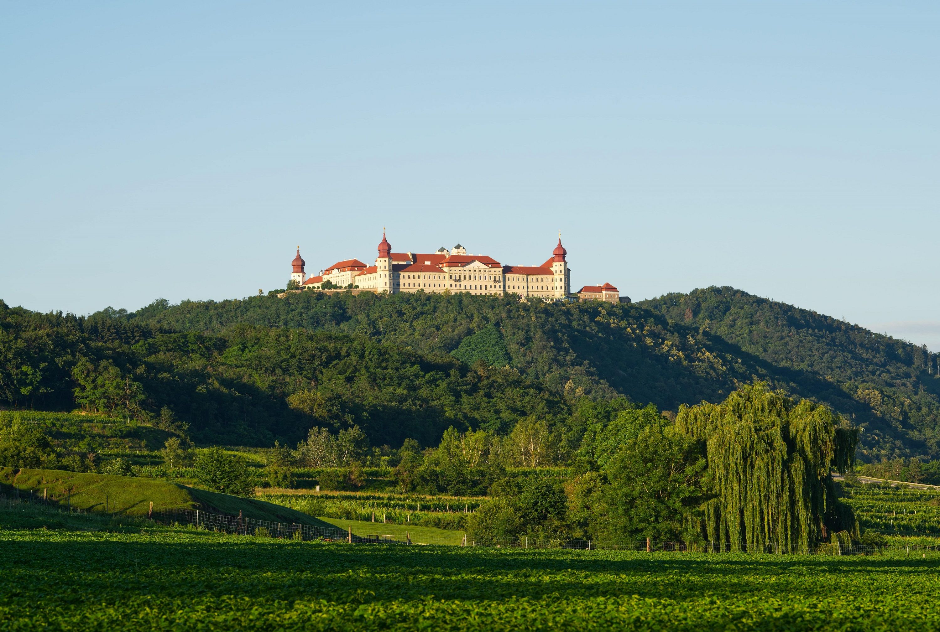 Benediktinerstift Göttweig auf einem Hügel mit grüner Landschaft im Vordergrund.