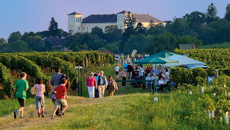 Menschen spazieren durch Weinberge bei einem Fest mit Zelten und Tischen.