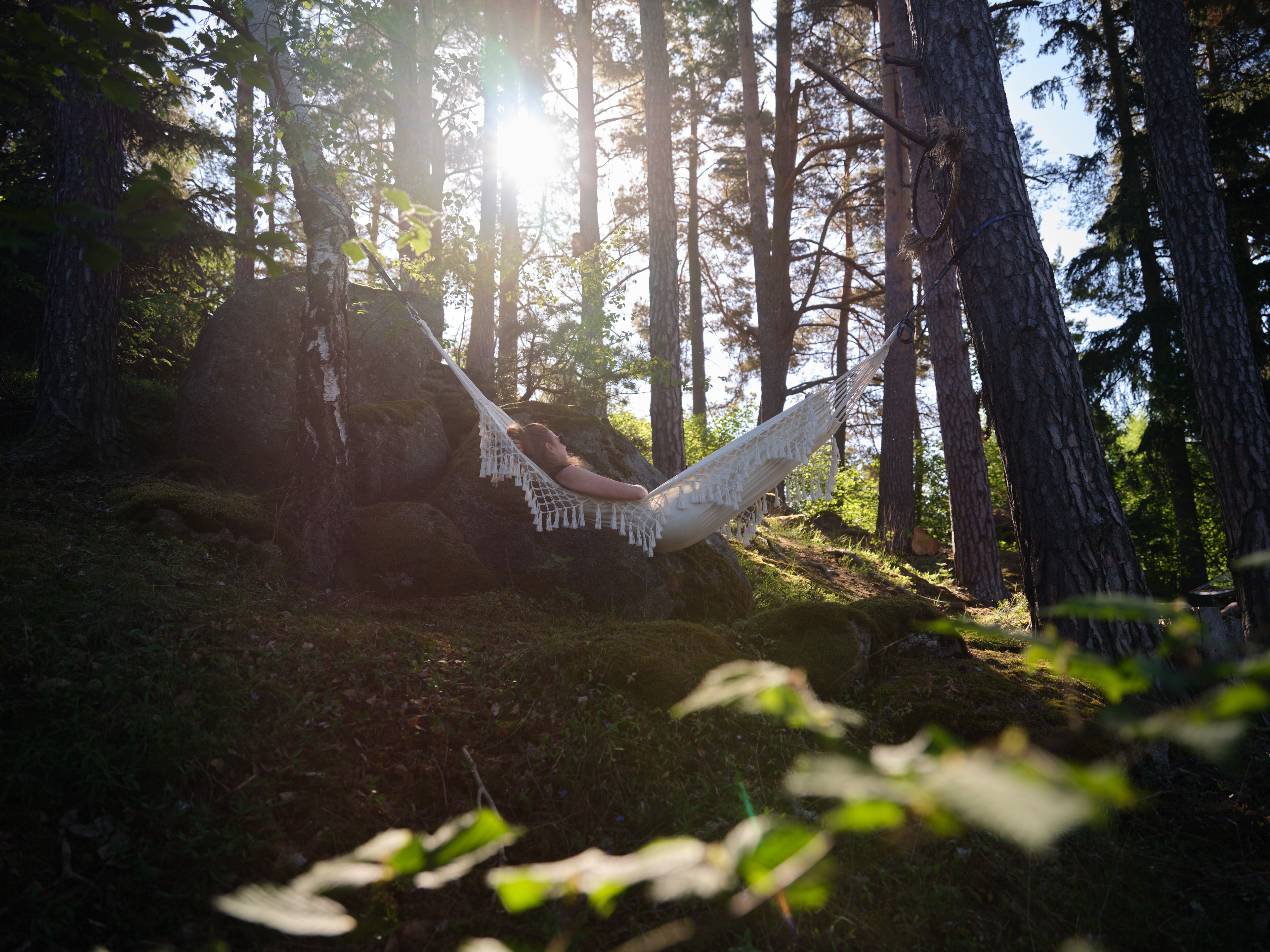 WellnessWald