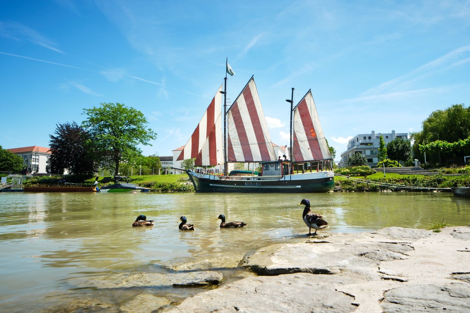 Hundertwasser-Schiff mit rot-weiß gestreiften Segeln. Im Vordergrund Enten im Wasser und im Hintergrund die Gartenstadt Tulln.