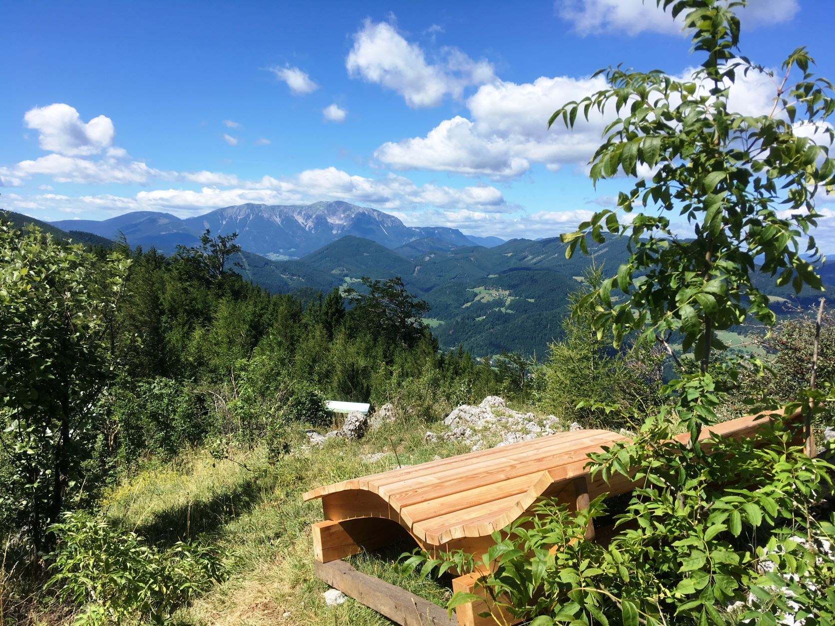 Holzbank mit Bergblick und Bäumen im Vordergrund.