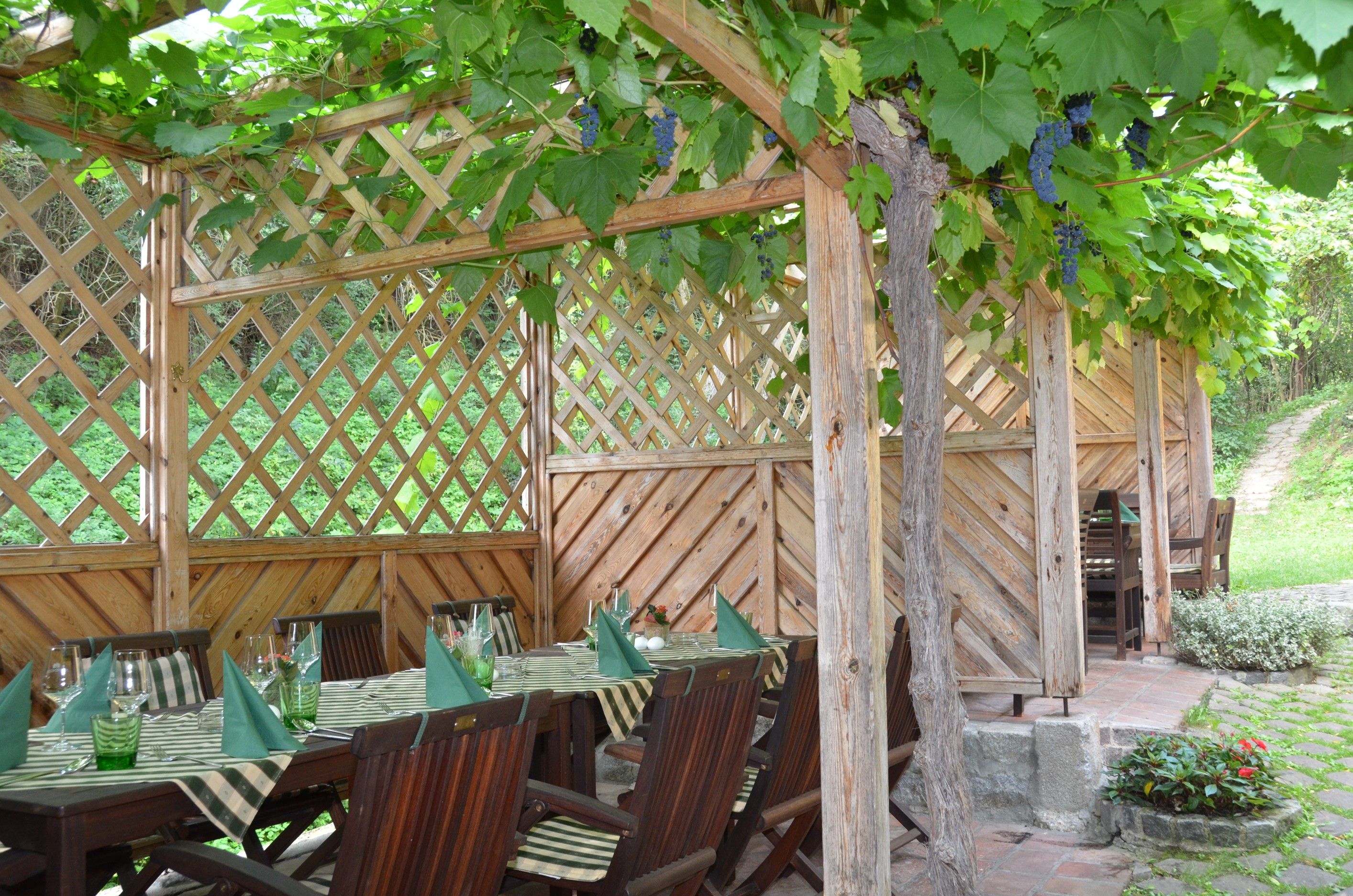 Ein Gastgarten mit Holztischen und -stühlen, überdacht von einem Laubengang mit Weinreben.