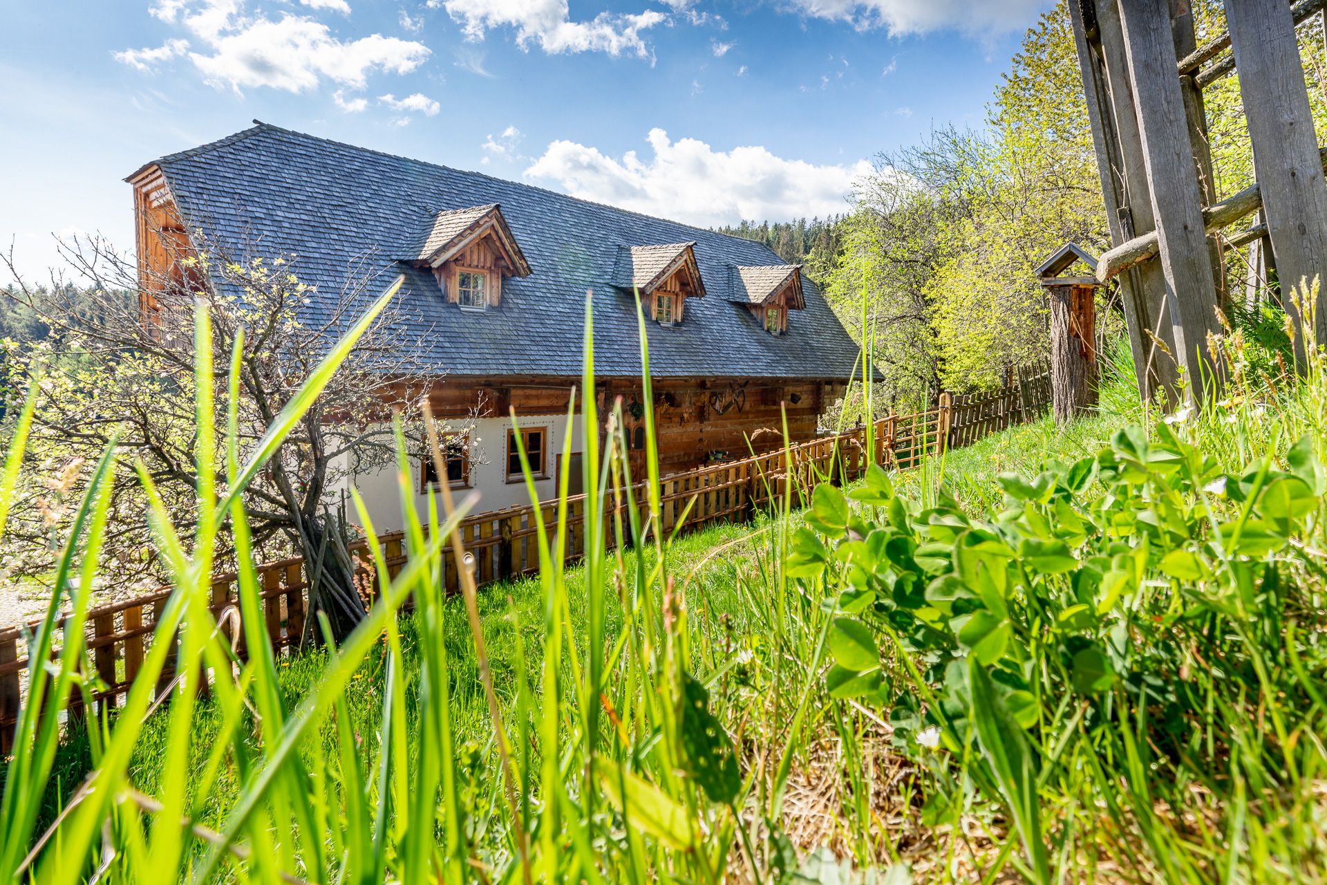 Traditionelles Haus mit Holzzaun umgeben von Bäumen und einer grünen Wiese.