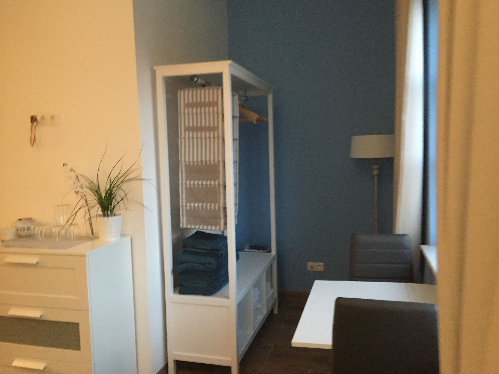 Hippo Campus, Zimmer