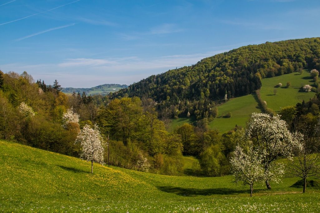 Ausblick von Holzsteig