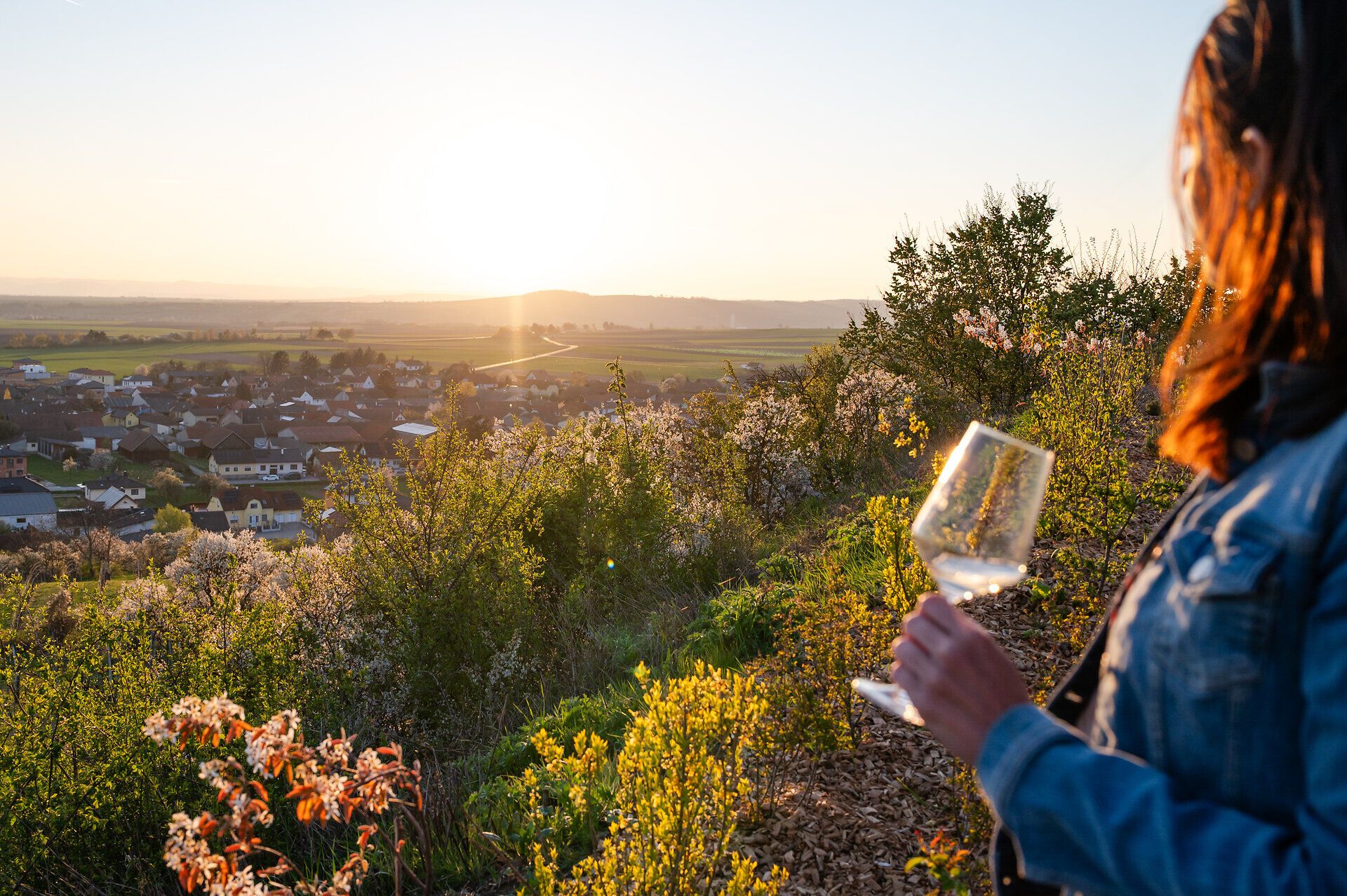 Eine Frau hält ein Glas Weißwein in der Hand und genießt den Ausblick über die frühlingshafte Weinviertler Landschaft.