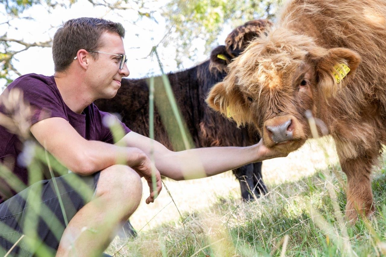Craftbeef von Brandstatten