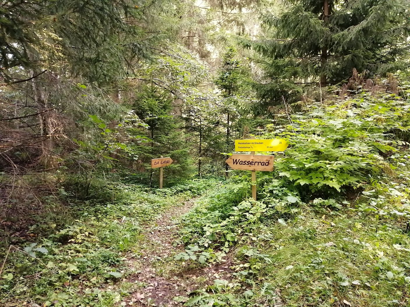 Weg zum Wasserrad