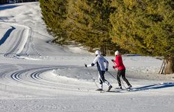 Die glitzernde Schneedecke lädt zu einem unvergesslichen Langlaufabenteuer ein. Umgeben von majestätischen Nadelbäumen gleiten die Sportler harmonisch über die präparierten Loipen und genießen die frische, klare Winterluft. Hier im Mariazellerland wird der Winter zum Erlebnis für alle, die die Natur lieben.