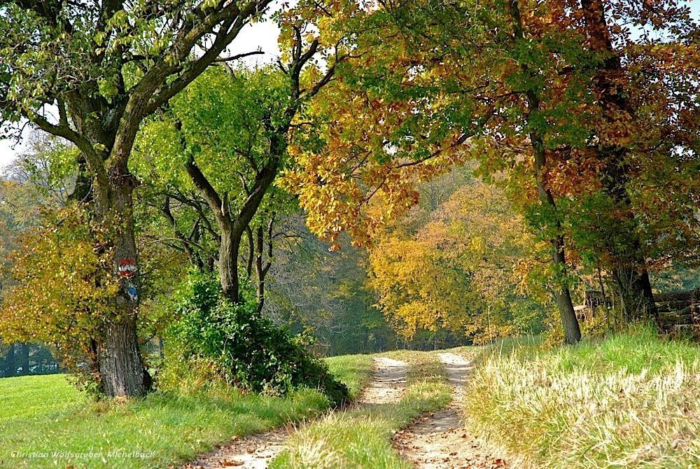 Feldweg nach Oberpirath