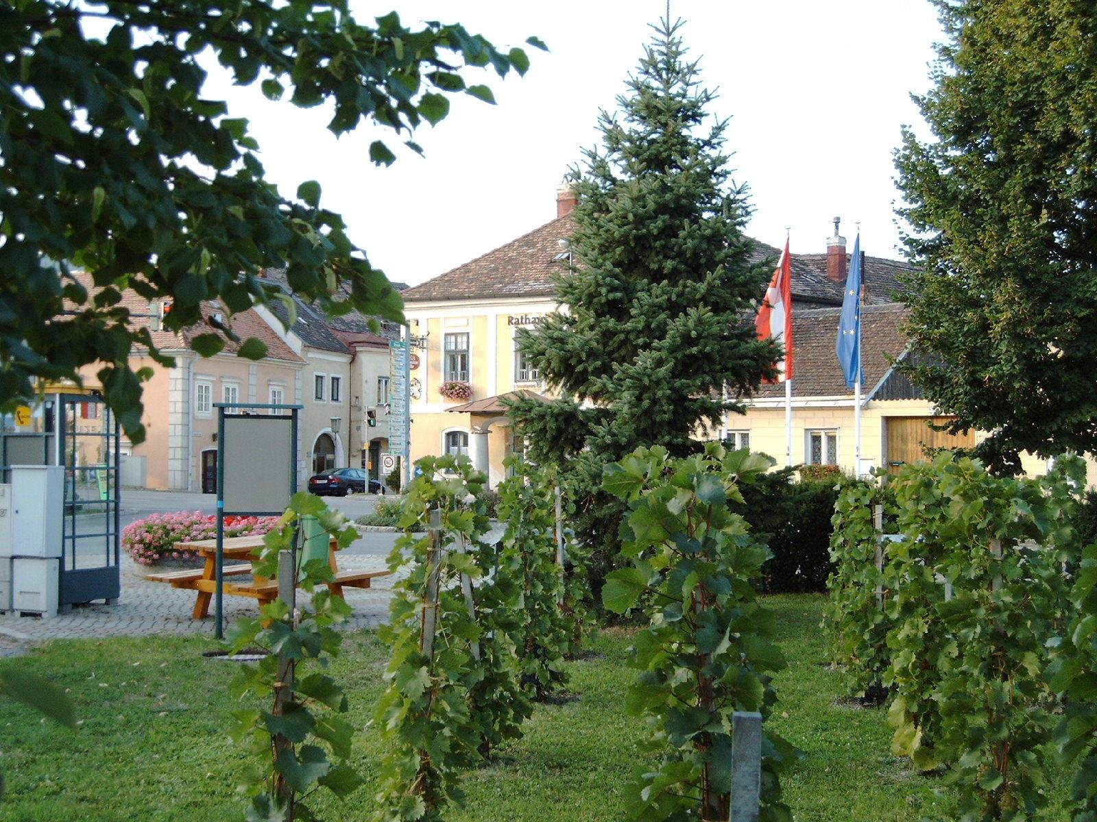 Hauptplatz in Pfaffstätten mit Rathaus, Weinreben und Flaggen.
