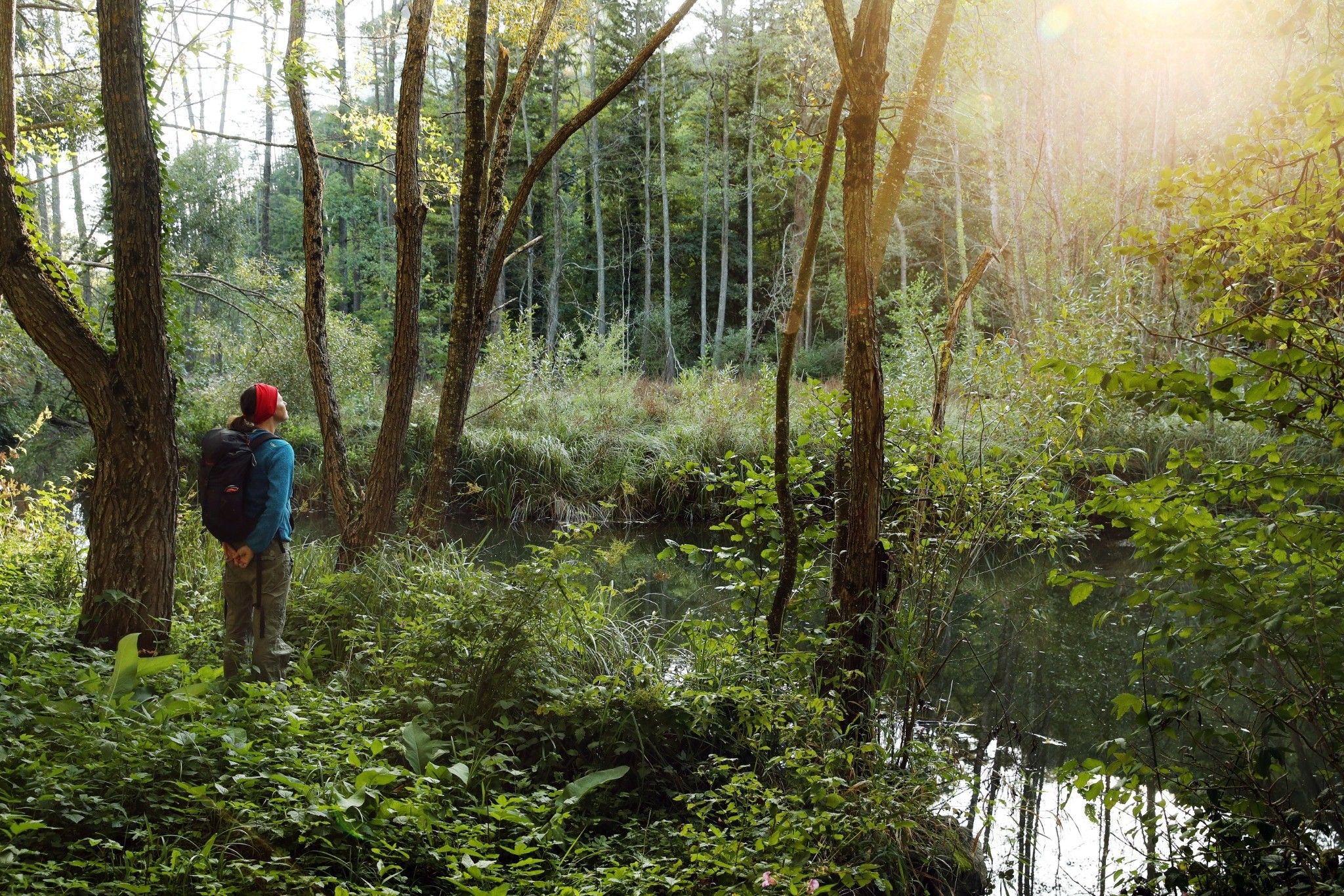 Eine Person mit roter Mütze und Rucksack steht in einem Wald und blickt auf einen kleinen Teich. Sonnenlicht scheint durch die Bäume.