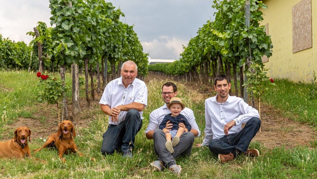 Drei Männer und ein Kind sitzen in einem Weingarten, begleitet von zwei Hunden.