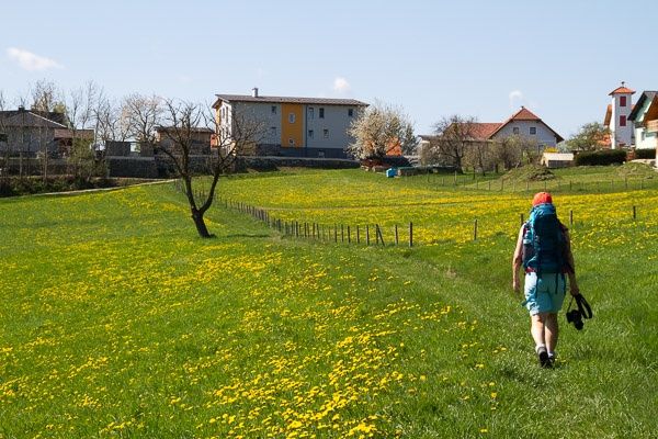 Schwaighof