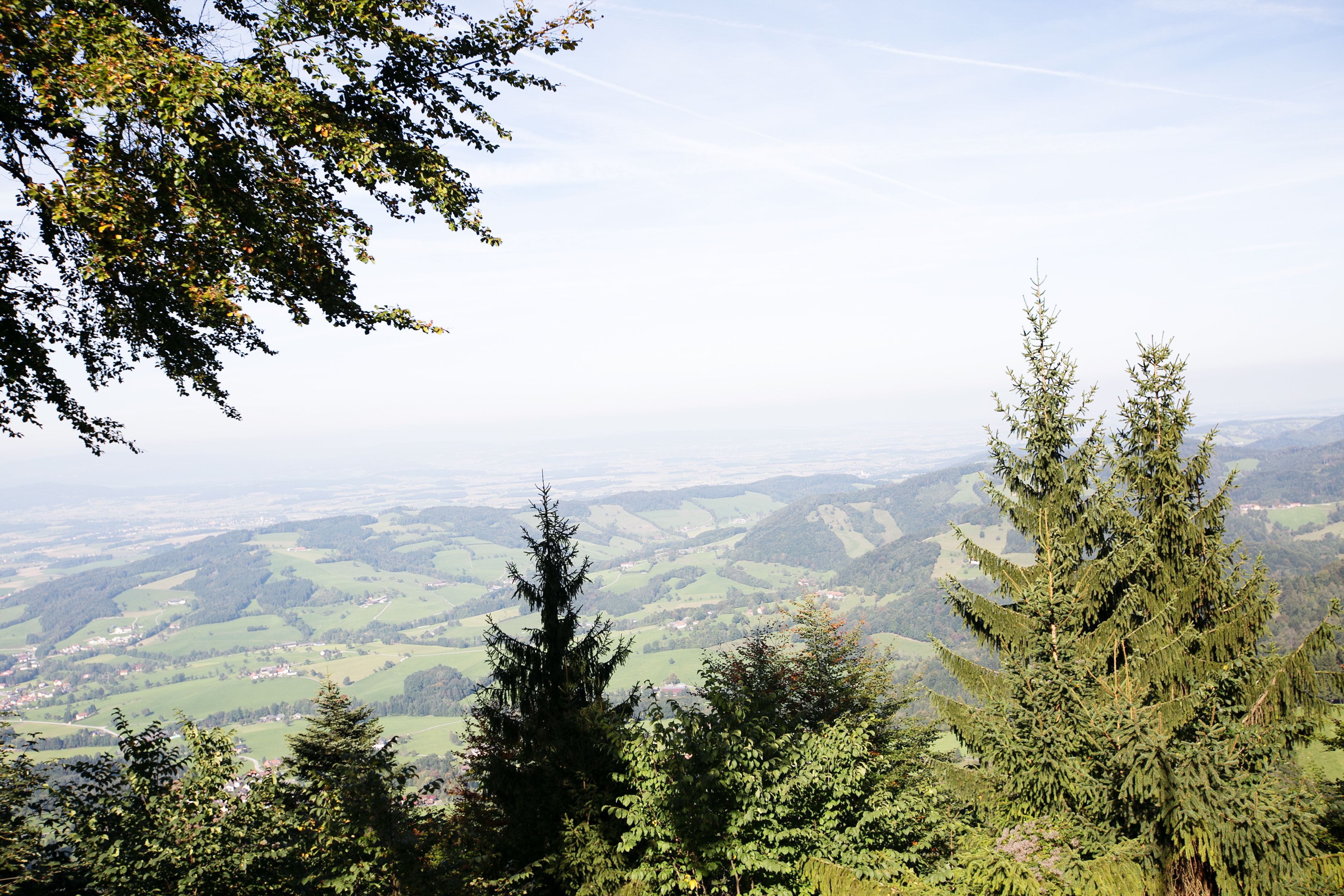 Panoramablick von der Grüntalkogelhütte auf eine grüne Hügellandschaft mit Bäumen im Vordergrund.