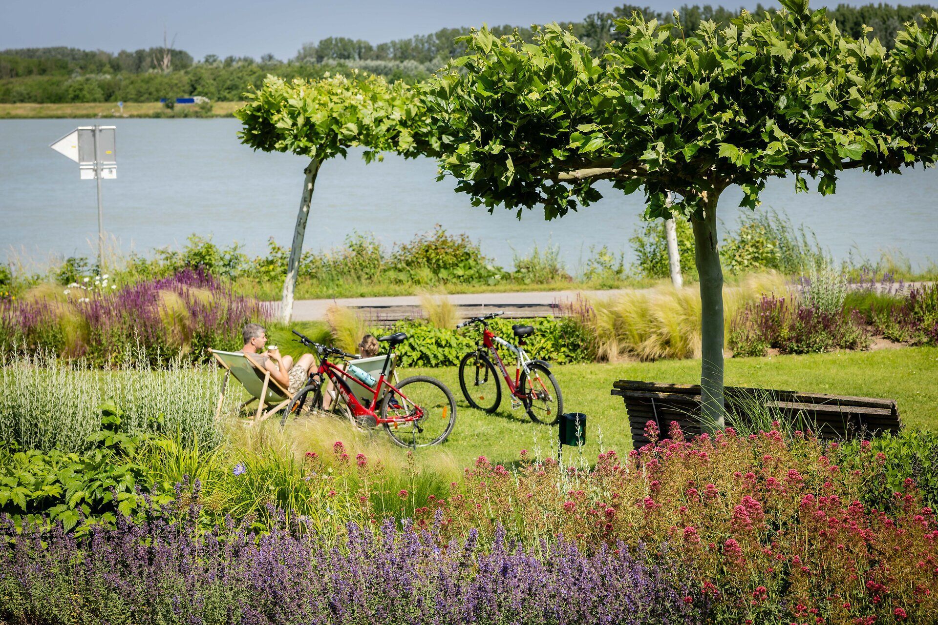 Donaulände Tulln mit Blick auf die Donau, Liegestühle und Radfahrer