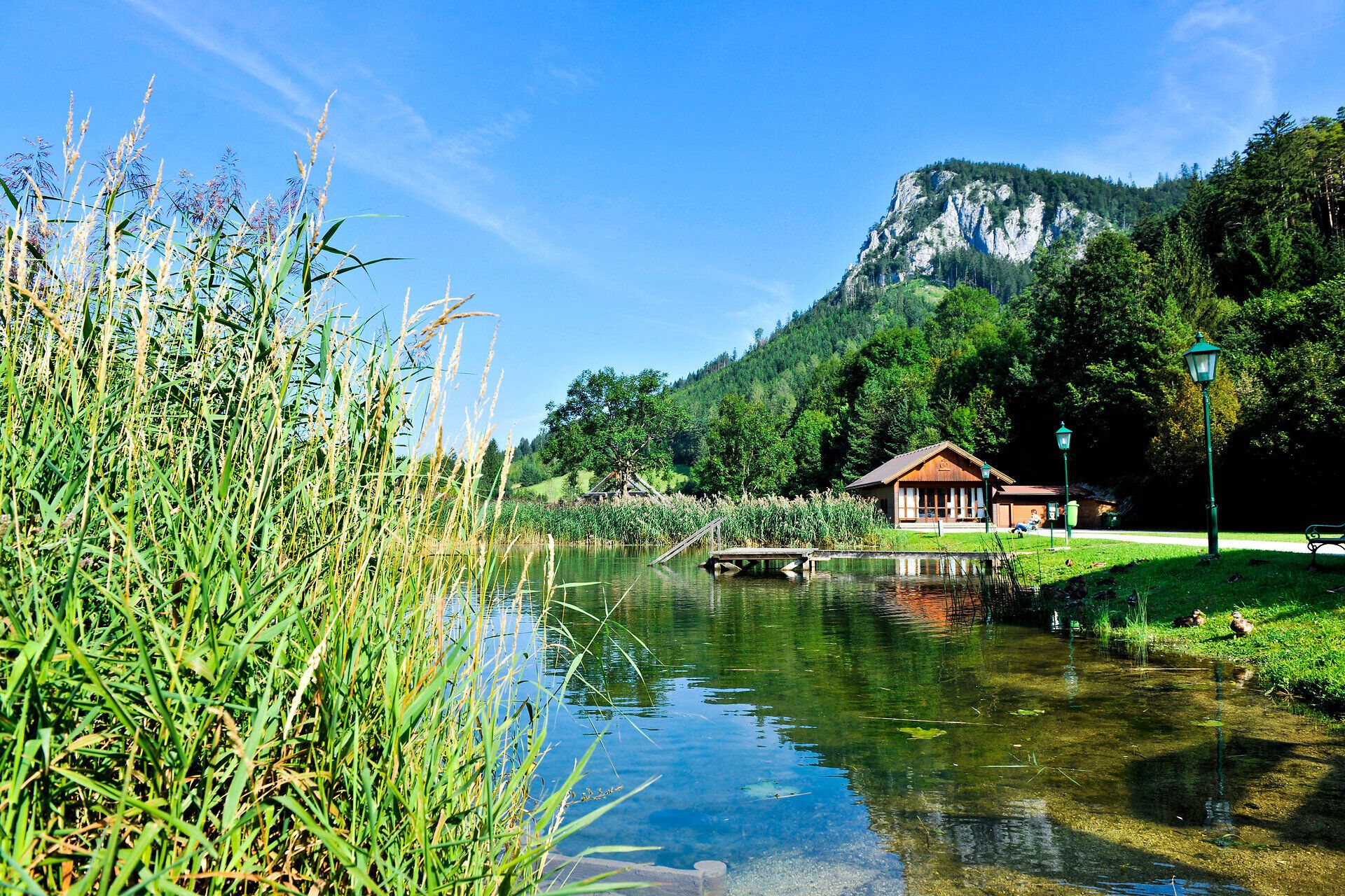 Die sanften Wellen des Wassers spiegeln die üppige Natur wider, während die majestätischen Berge im Hintergrund eine beeindruckende Kulisse bieten. Hier, wo die Ruhe der Natur auf die Schönheit des Sommers trifft, lädt die Umgebung zum Entspannen und Erkunden ein.