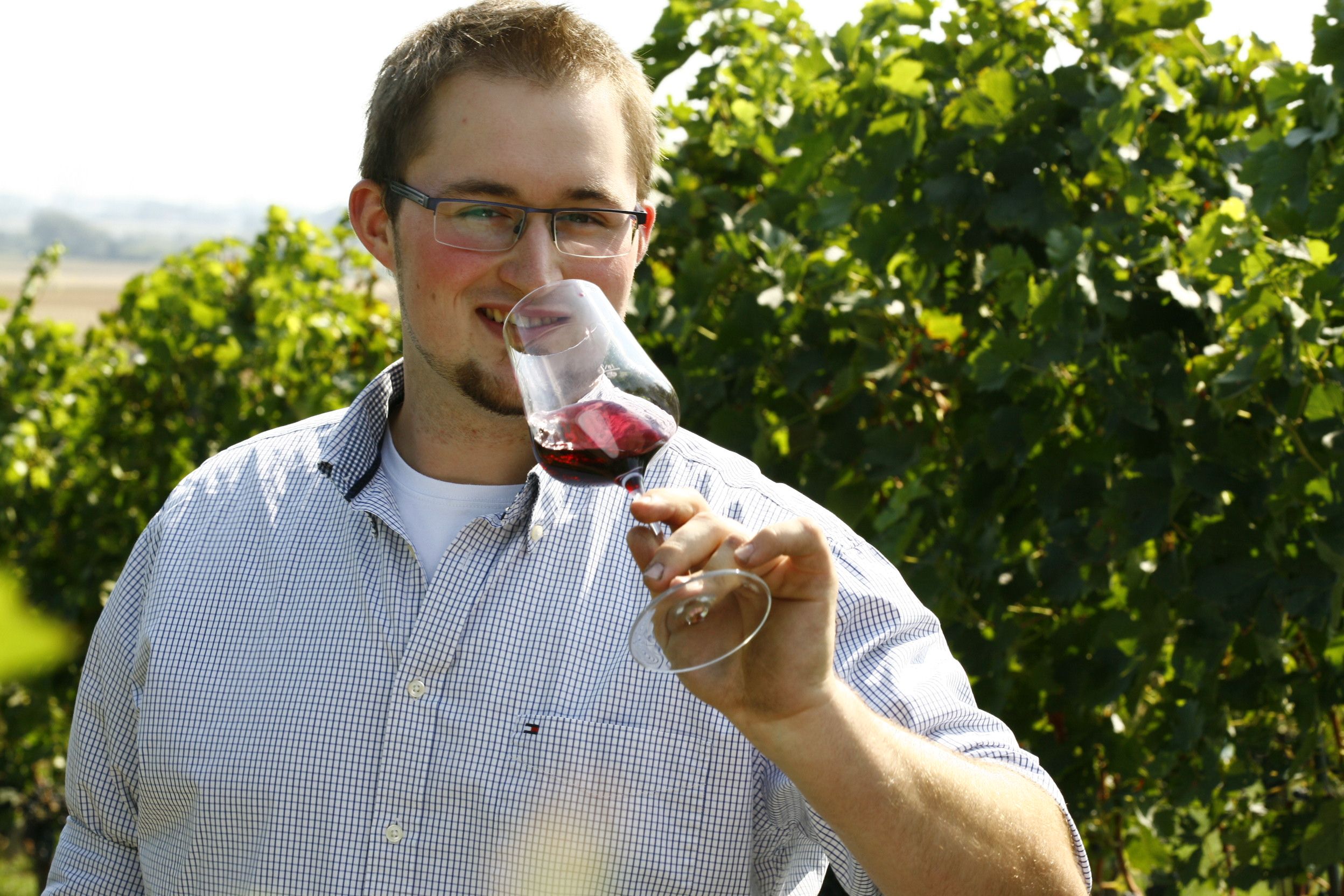 Weinbau Thomas Windholz, Bruck/Leitha
