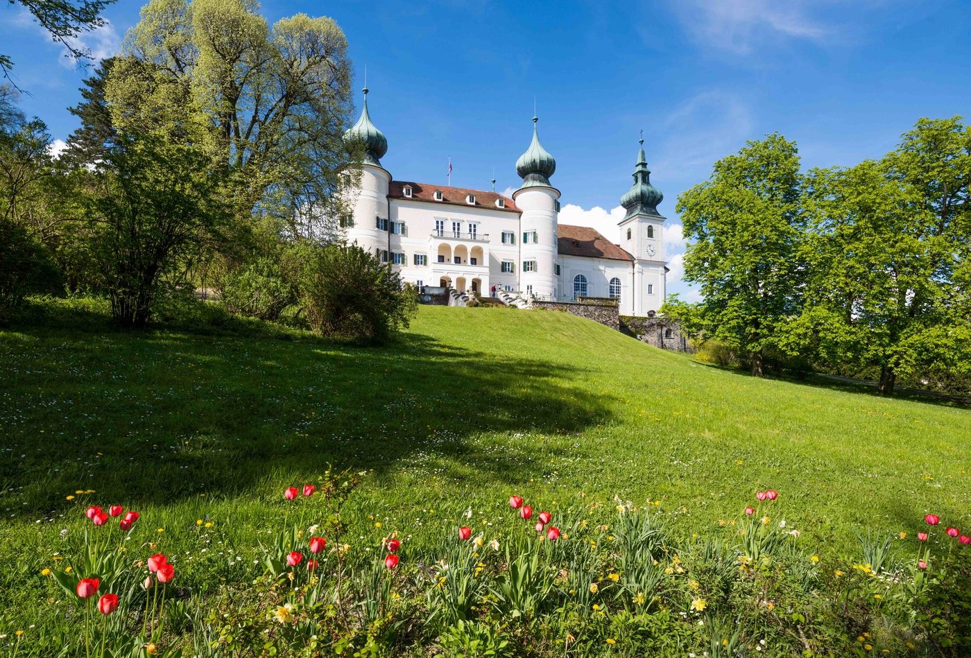 Schloss Artstetten mit grüner Wiese und Blumen im Vordergrund.