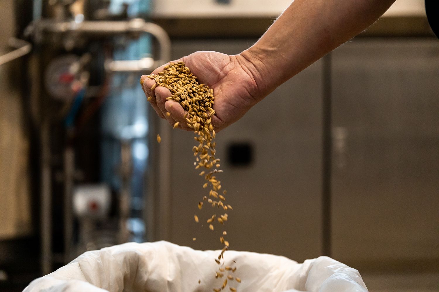 Hand streut Getreide in einen Sack in einer Brauerei.