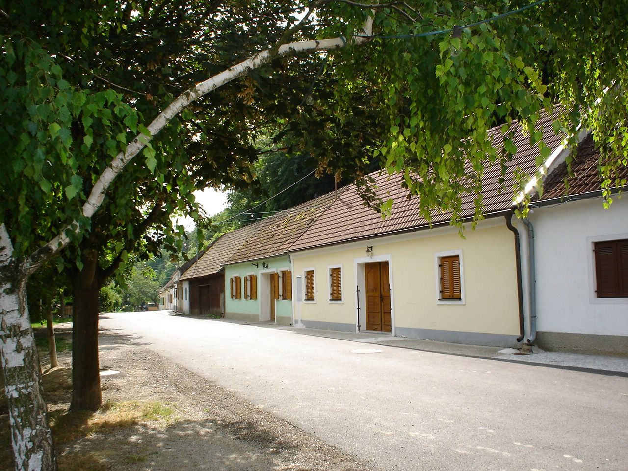 Eine ruhige Straße mit traditionellen Häusern und Bäumen in der Ahrenberger-Eichberger Kellergasse.
