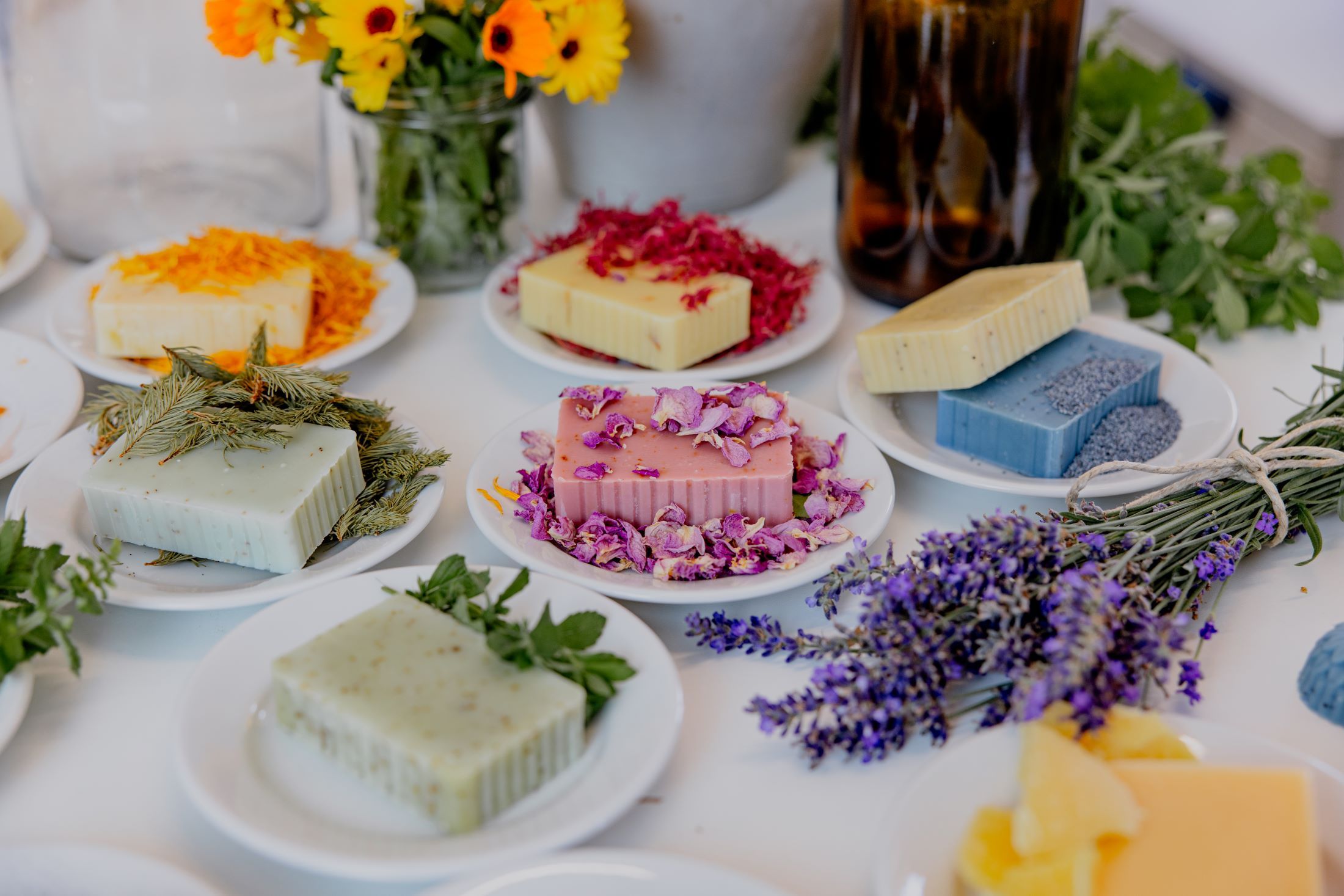 Verschiedene handgemachte Seifen auf Tellern, dekoriert mit Blumen und Kräutern.