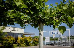 Süddeck, Restaurant direkt an der Donau liegend mit viel grünen Büschen umrahmt. Daneben die Schiffsanlegestelle und ein großer Baum davor