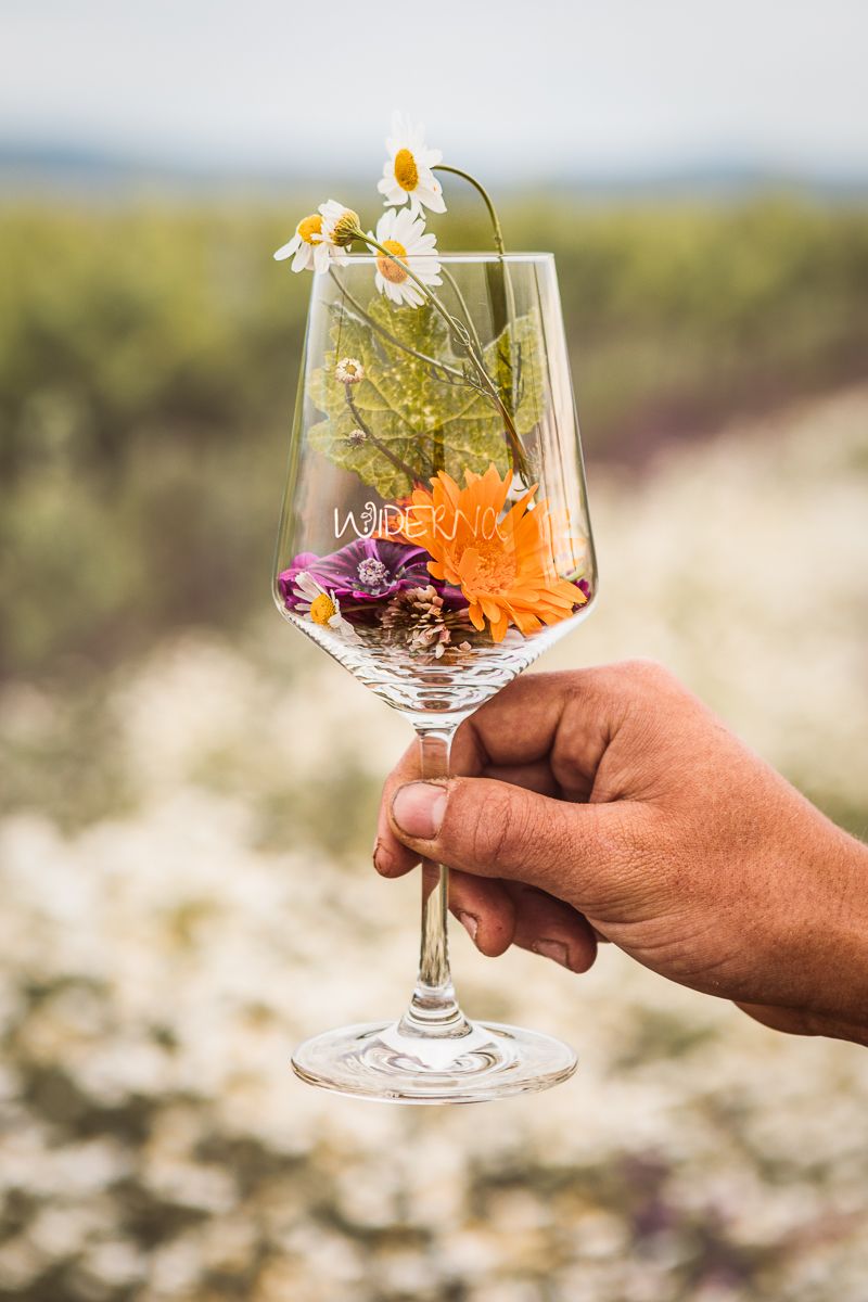 Ein Weinglas mit Blumen und Blättern, gehalten von einer Hand vor einem unscharfen Hintergrund.
