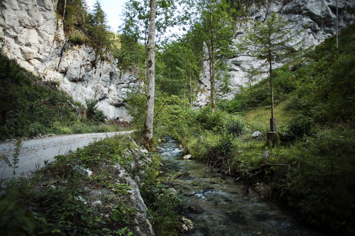 Falkenschlucht-Tour