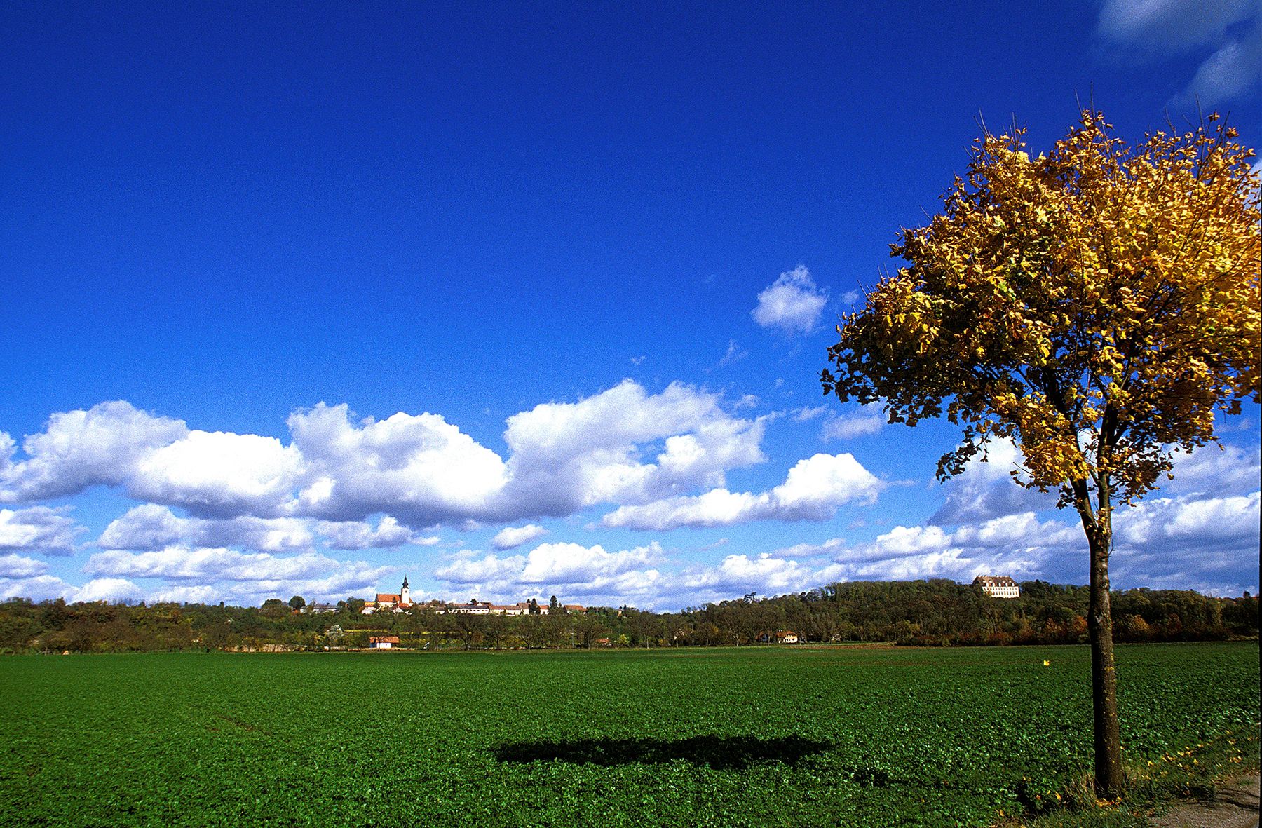 Landschaft mit Baum, grünem Feld und Dorf im Hintergrund unter blauem Himmel mit Wolken.