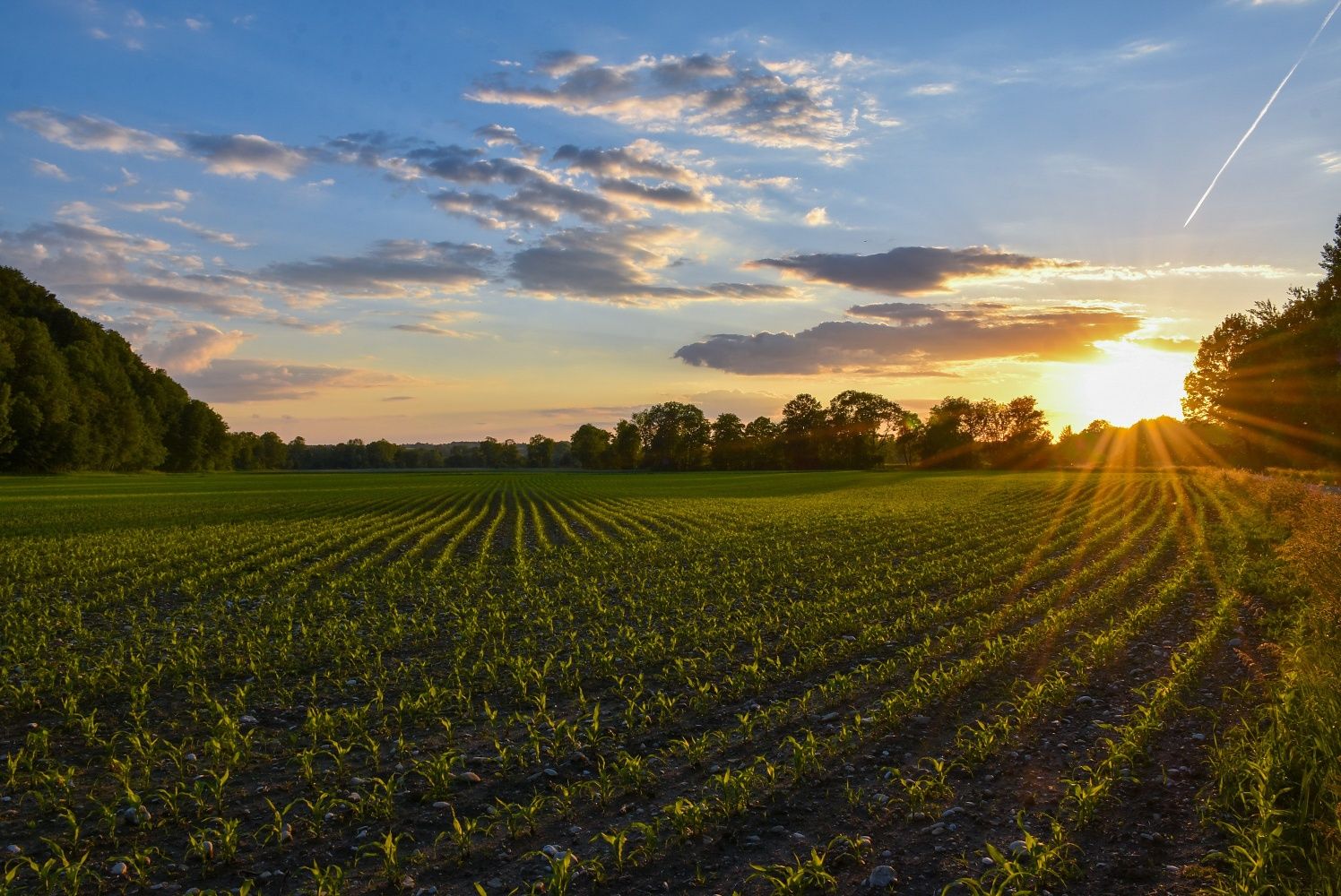 Besonders schön ist die Stimmung bei untergehender Sonne