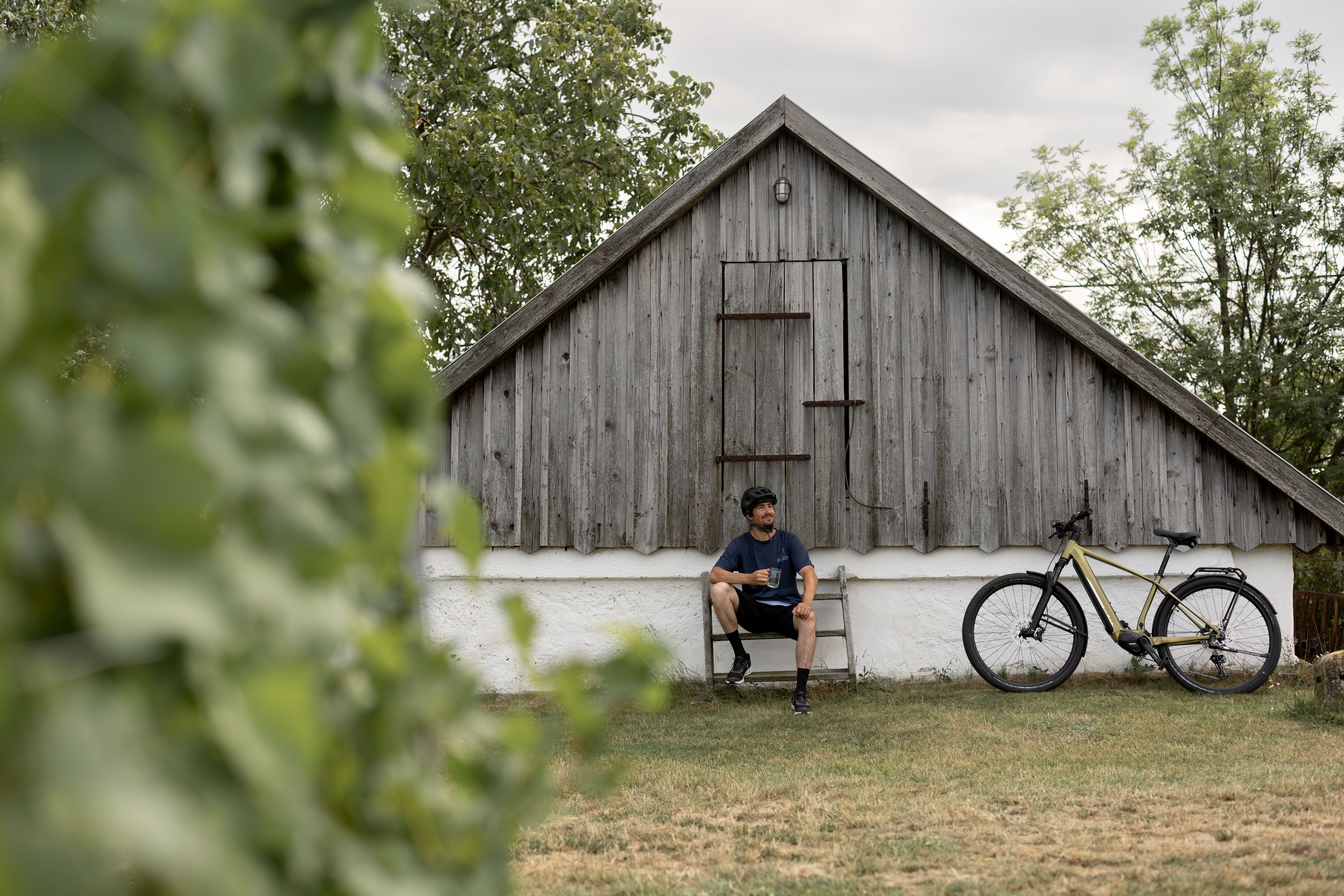 Eine malerische Kellergasse mit weißen Presshäusern und blühendem Flieder im Vordergrund.