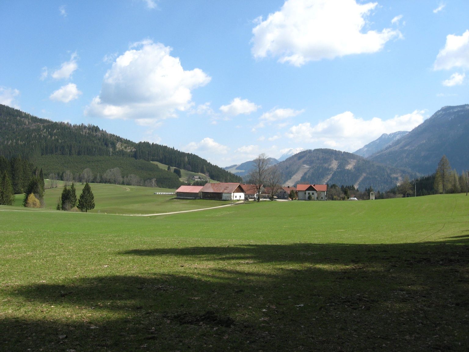 Herdengl