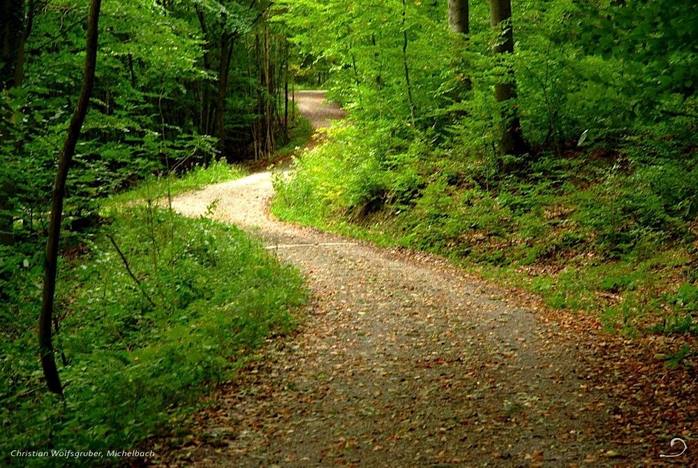 Waldweg zw. Unter- und Oberhegerberger
