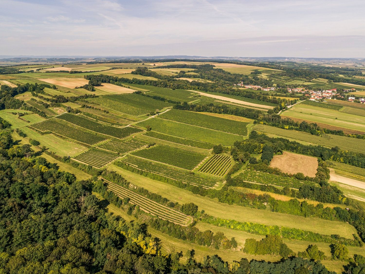 Luftaufnahme von Weinbergen und Feldern in Grossweikersdorf, Österreich.