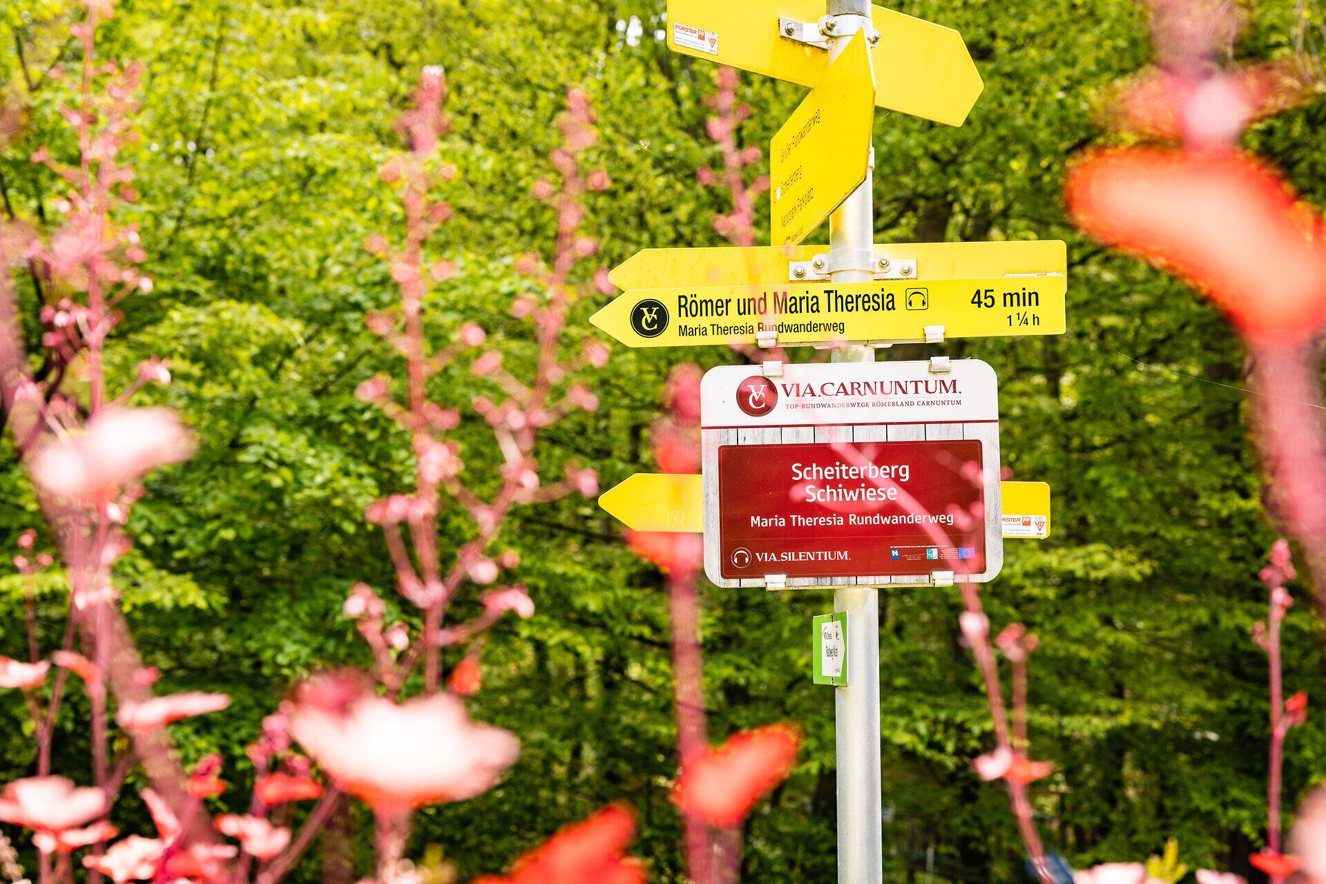 Steher mit mehreren Wanderschildern.