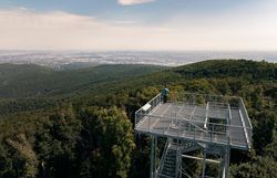 Frau steht oben auf der Jubiläumswarte, umgeben von Wald und urbaner Gegend im Hintergrund