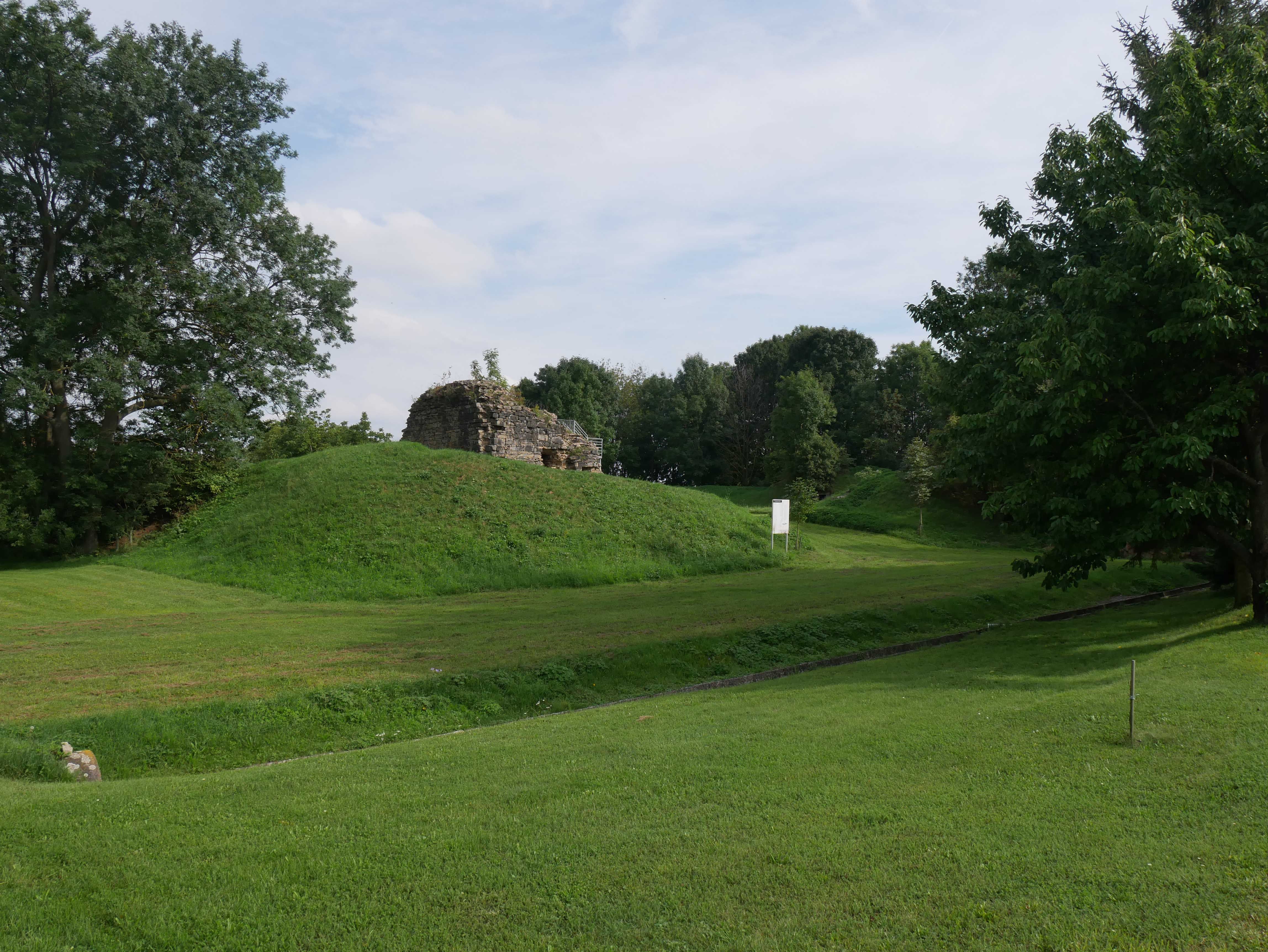 Ruine der Burg Sachsendorf auf einem grasbewachsenen Hügel, umgeben von Bäumen.