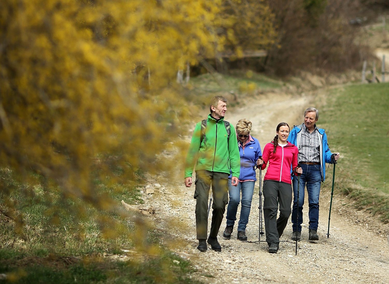 Durchs Pielachtal wandern