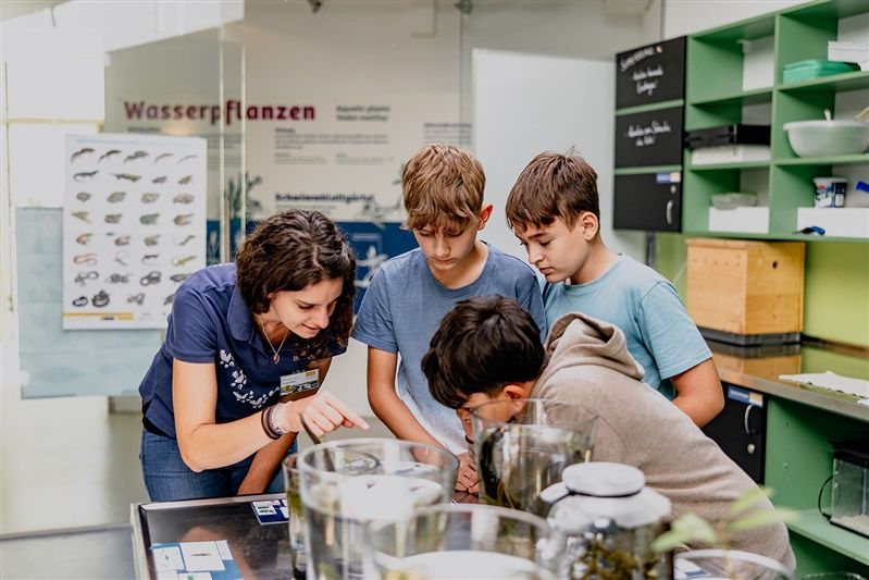Eine Frau zeigt drei Jungen etwas in einem Glasbehälter in einem Labor.
