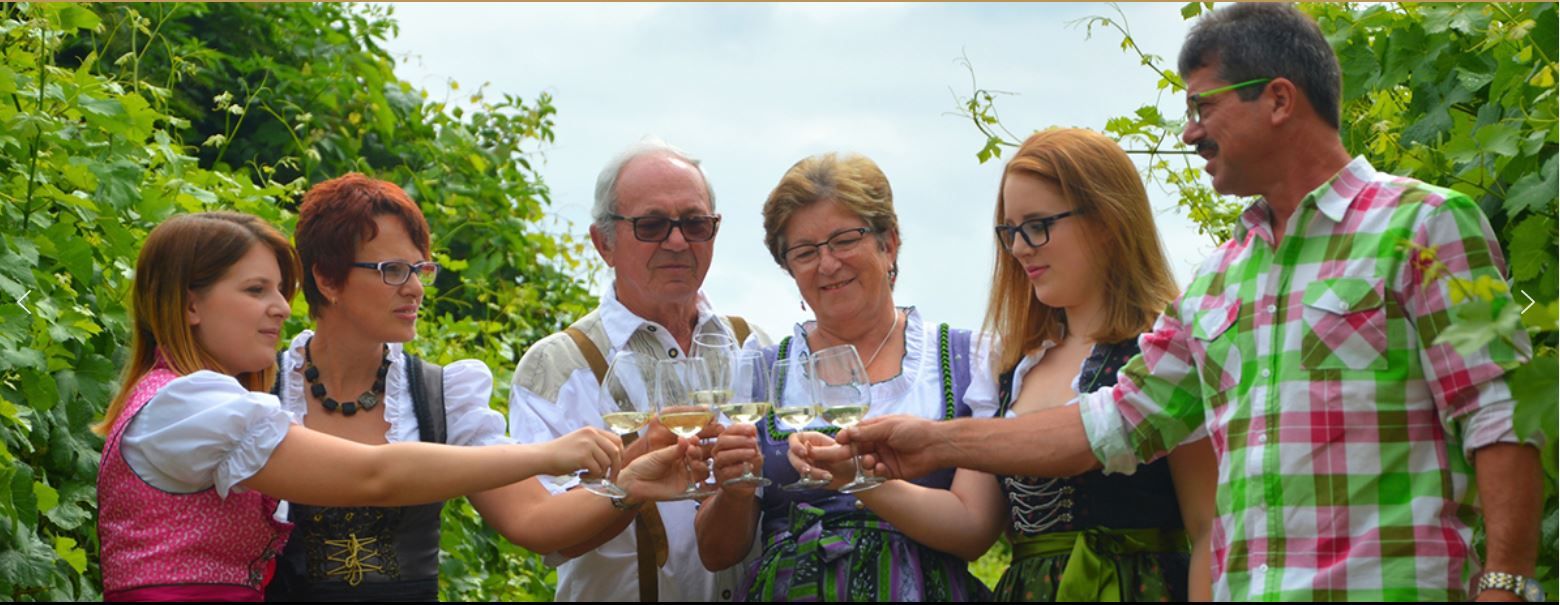 Weinbau Angerhof 