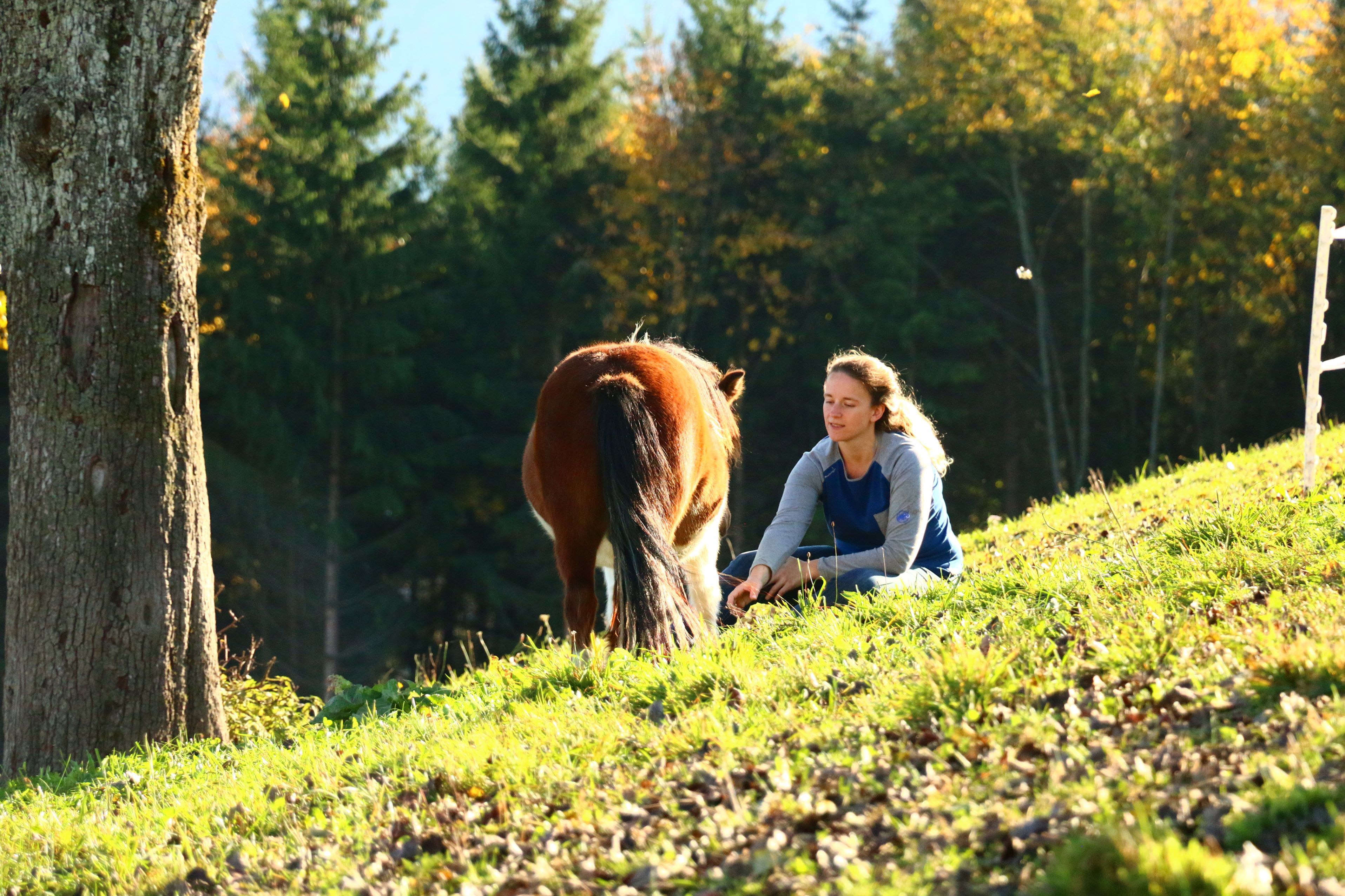 urlaub-beim-almbauer-5