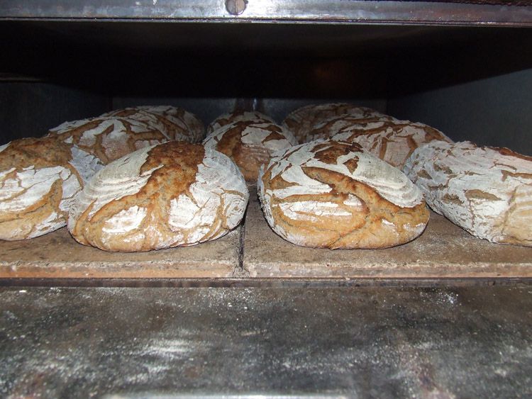 Bauernbrot und Dinkelbrot