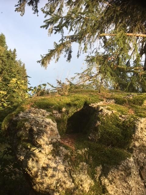Rundweg Dachlstein mit Mariensitz