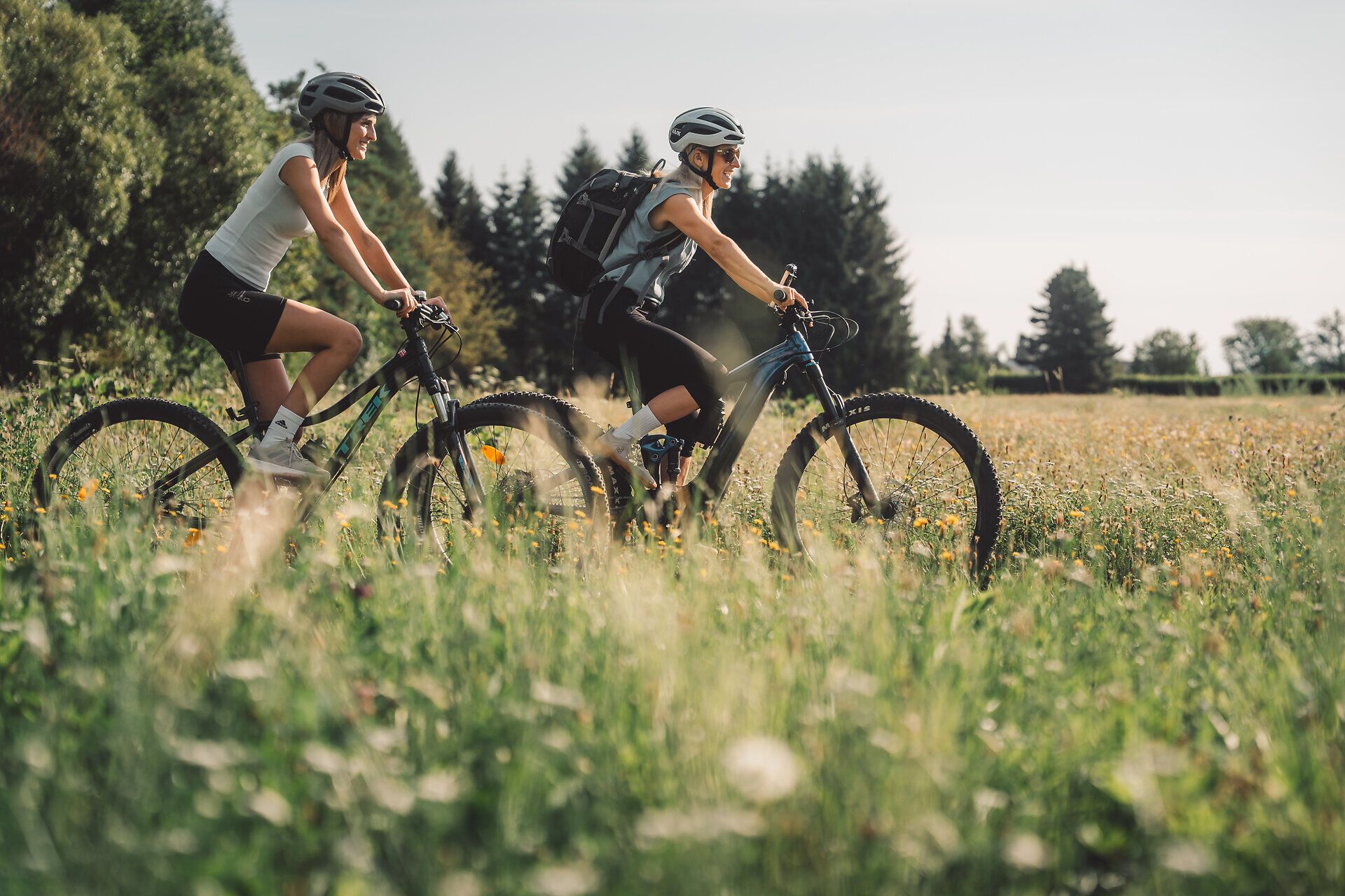 Radfahrerinnen radeln durch die grüne Landschaft entlang des Kleinen Erlauftalradwegs.